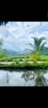 Ảnh người dùng đánh giá Linh Soi Homestay Ảnh người dùng đánh giá Linh Soi Homestay