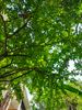 Ảnh người dùng đánh giá Villa Aria Mũi Né