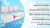 Ảnh Tủ đông Sanaky 900 lít VH-1199HY 0