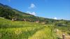 User's review image for Laxsik Ecolodge User's review image for Laxsik Ecolodge