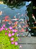 Ảnh người dùng đánh giá Khách sạn Senna Huế Ảnh người dùng đánh giá Khách sạn Senna Huế