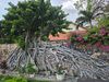 Ảnh người dùng đánh giá Sài Gòn Côn Đảo Resort Ảnh người dùng đánh giá Sài Gòn Côn Đảo Resort