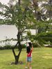 Ảnh người dùng đánh giá Cam Ranh Riviera Beach Resort & Spa Ảnh người dùng đánh giá Cam Ranh Riviera Beach Resort & Spa