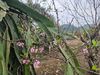 Ảnh người dùng đánh giá Khách Sạn Mường Thanh Cửa Đông