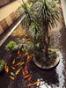 Ảnh người dùng đánh giá InterContinental Phú Quốc Long Beach Resort Ảnh người dùng đánh giá InterContinental Phú Quốc Long Beach Resort
