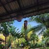 Ảnh người dùng đánh giá La Mer Resort Phú Quốc Ảnh người dùng đánh giá La Mer Resort Phú Quốc