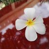 Ảnh người dùng đánh giá Sunny Beach Resort Mũi Né Ảnh người dùng đánh giá Sunny Beach Resort Mũi Né