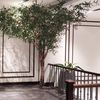 Ảnh người dùng đánh giá Khách sạn Kin Central Park (Khách Sạn Central Park Sài Gòn) Ảnh người dùng đánh giá Khách sạn Kin Central Park (Khách Sạn Central Park Sài Gòn)