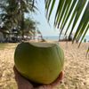Ảnh người dùng đánh giá Arcadia Phú Quốc Resort Ảnh người dùng đánh giá Arcadia Phú Quốc Resort