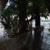 用户评价的照片An Lâm Retreats Saigon River