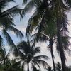 Ảnh người dùng đánh giá Khách Sạn Mường Thanh Holiday Mũi Né Ảnh người dùng đánh giá Khách Sạn Mường Thanh Holiday Mũi Né