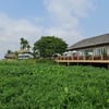 User's review image for Mekong Riverside Boutique Resort & Spa