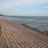 Ảnh người dùng đánh giá Rang Garden Beach Side Resort Ảnh người dùng đánh giá Rang Garden Beach Side Resort