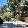 Ảnh người dùng đánh giá Osaka Village Đà Lạt Ảnh người dùng đánh giá Osaka Village Đà Lạt