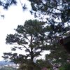 Ảnh người dùng đánh giá Osaka Village Đà Lạt Ảnh người dùng đánh giá Osaka Village Đà Lạt