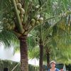 Ảnh người dùng đánh giá Khách Sạn Halona Phú Quốc Ảnh người dùng đánh giá Khách Sạn Halona Phú Quốc