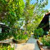 Ảnh người dùng đánh giá Miana Resort Phú Quốc Ảnh người dùng đánh giá Miana Resort Phú Quốc