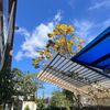 Ảnh người dùng đánh giá Khách sạn Blue Dragon Phú Quốc