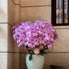 Ảnh người dùng đánh giá Trang Thanh Luxury Apartment Ảnh người dùng đánh giá Trang Thanh Luxury Apartment