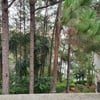 User's review image for Dalat Edensee Lake Resort & Spa