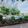 Ảnh người dùng đánh giá Khách Sạn Vạn Phát Riverside Ảnh người dùng đánh giá Khách Sạn Vạn Phát Riverside