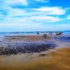 Ảnh người dùng đánh giá Khách Sạn Bãi Trước Ảnh người dùng đánh giá Khách Sạn Bãi Trước