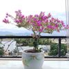 Ảnh người dùng đánh giá Khách sạn Magnolia Ảnh người dùng đánh giá Khách sạn Magnolia