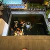 Ảnh người dùng đánh giá Hội An Discovery Villa