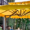 Ảnh người dùng đánh giá Hội An Discovery Villa