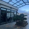 User's review image for Pistachio Hotel Sapa User's review image for Pistachio Hotel Sapa