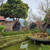 Ảnh người dùng đánh giá Fairy House Homestay Ảnh người dùng đánh giá Fairy House Homestay