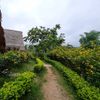 Ảnh người dùng đánh giá Fairy House Homestay Ảnh người dùng đánh giá Fairy House Homestay