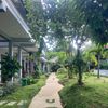 Ảnh người dùng đánh giá Suối Mây Garden Resort Ảnh người dùng đánh giá Suối Mây Garden Resort