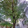 Ảnh người dùng đánh giá Lotus Garden Resort Ảnh người dùng đánh giá Lotus Garden Resort