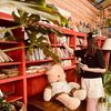 Ảnh người dùng đánh giá Lacasa May