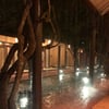 用户评价的照片Thảo Viên Resort