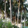 Image de l'avis de l'utilisateur pour Non Nuoc Resort Image de l'avis de l'utilisateur pour Non Nuoc Resort