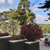 Ảnh người dùng đánh giá Khách sạn Đà Lạt Palace Heritage Ảnh người dùng đánh giá Khách sạn Đà Lạt Palace Heritage
