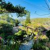 Ảnh người dùng đánh giá Zen Valley Dalat Resort Ảnh người dùng đánh giá Zen Valley Dalat Resort