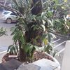 Ảnh người dùng đánh giá Khách sạn Memories Bảo Lộc Ảnh người dùng đánh giá Khách sạn Memories Bảo Lộc