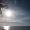 Ảnh người dùng đánh giá Rang Garden Beach Side Resort Ảnh người dùng đánh giá Rang Garden Beach Side Resort