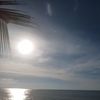 Ảnh người dùng đánh giá Rang Garden Beach Side Resort Ảnh người dùng đánh giá Rang Garden Beach Side Resort
