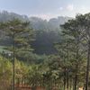 Ảnh người dùng đánh giá Swiss-Belresort Tuyen Lam Dalat Ảnh người dùng đánh giá Swiss-Belresort Tuyen Lam Dalat