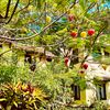 Ảnh người dùng đánh giá Mulberry Collection Silk Village Ảnh người dùng đánh giá Mulberry Collection Silk Village