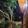 Ảnh người dùng đánh giá Cô Tô 368 Homestay Ảnh người dùng đánh giá Cô Tô 368 Homestay