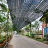 Ảnh người dùng đánh giá TTC Resort Dốc Lết Ảnh người dùng đánh giá TTC Resort Dốc Lết
