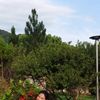 Ảnh người dùng đánh giá LEE Garden Sóc Sơn Villa Ảnh người dùng đánh giá LEE Garden Sóc Sơn Villa