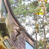 Ảnh người dùng đánh giá Khách Sạn Rosie Garden Măng Đen Ảnh người dùng đánh giá Khách Sạn Rosie Garden Măng Đen