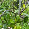 Ảnh người dùng đánh giá The Adora Villa Đà Lạt Ảnh người dùng đánh giá The Adora Villa Đà Lạt