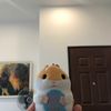 Ảnh người dùng đánh giá Khách sạn Himalaya Phoenix Ảnh người dùng đánh giá Khách sạn Himalaya Phoenix